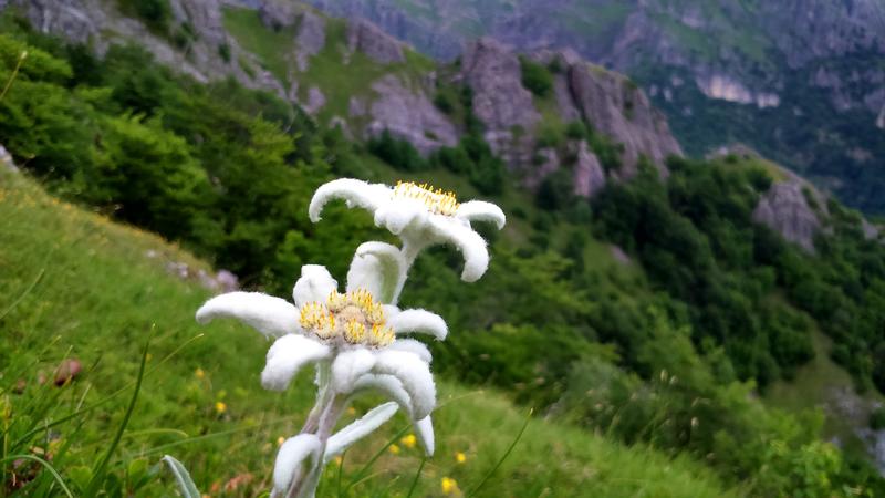 Днес отбелязваме 32 години от обявяването на Национален парк „Централен Балкан“ - 14