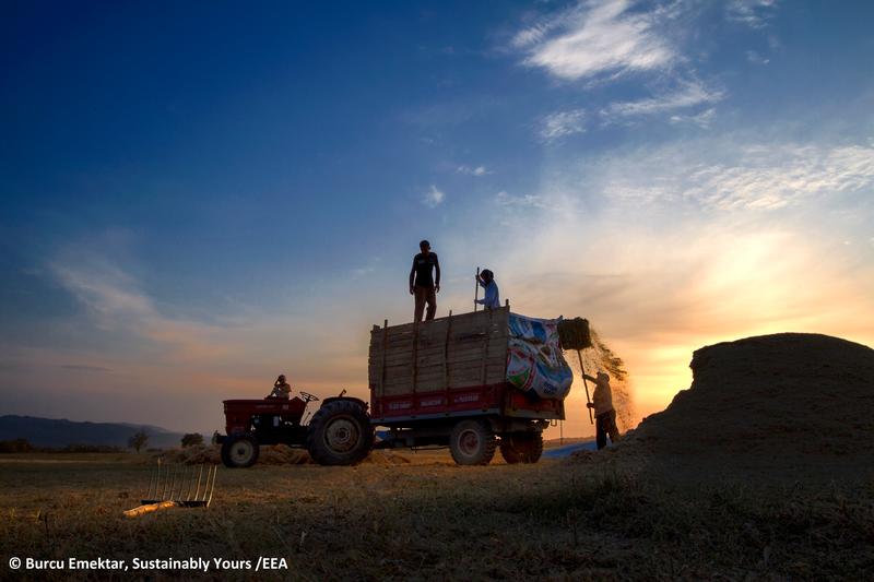 конкурс Sustainably yours - 4