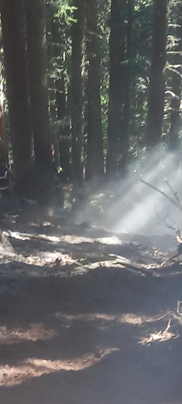 A fire broke out on the territory of the Rila Monastery Forest Reserve - 2