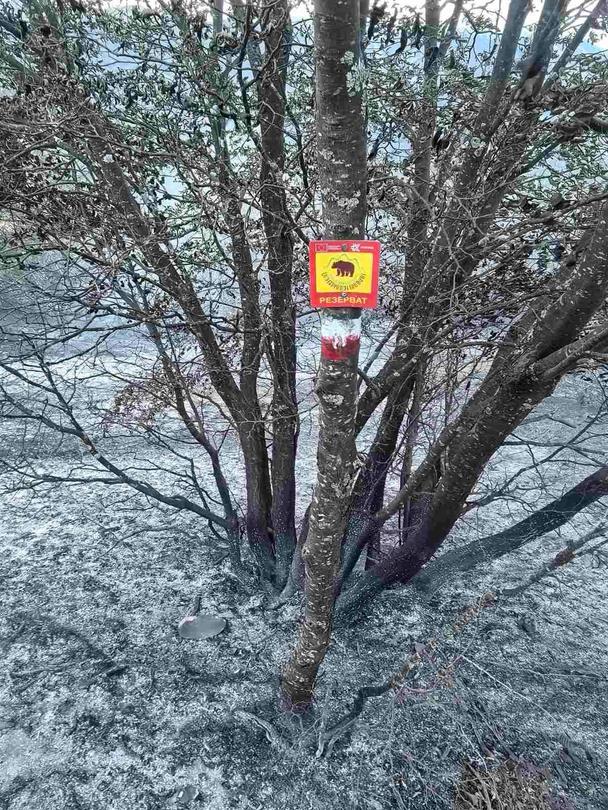 Fire rages in the “Steneto” reserve in the “Central Balkan” National Park - 01