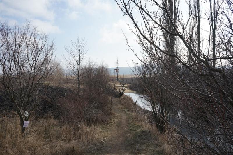 Министър Димитров Драгоманско блато - 4