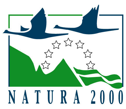 Over 150 plant and animal species have been depicted during the BioBlitz initiative in Belasitsa - 01