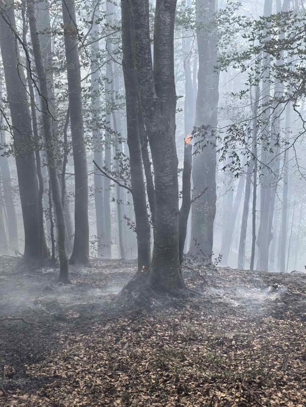 The fire in the Central Balkan has been extinguished - 7