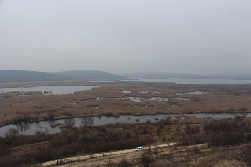 Сребърна очаква зимуващите водолюбиви птици - 01