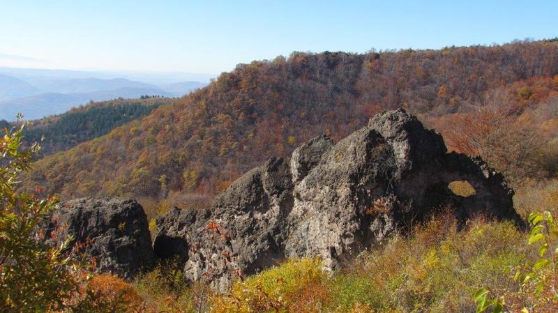 Обявени са четири нови защитени територии и е въведена промяна в площта на една - 01