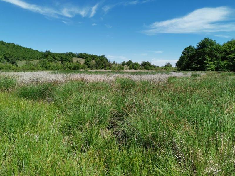 Two New Protected Areas were Declared by Order of the Minister of Environment and Water Rositsa Karamfilova - 01