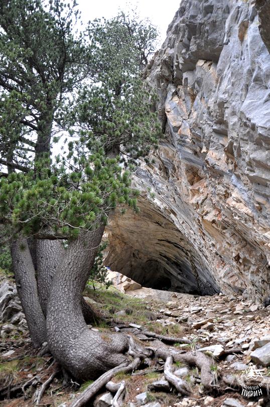 Today we mark the 61st Anniversary since the establishment of National Park Pirin - 17