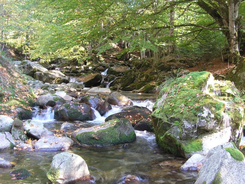 Today we mark 32 years National Park “Central Balkan” - 30