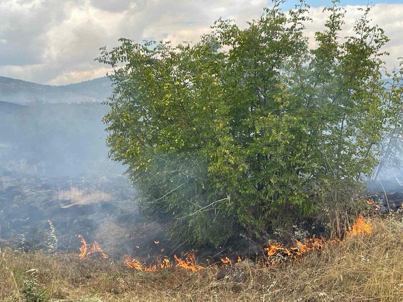 No Hazardous Air Pollution from the Fire Near Burgas - 4
