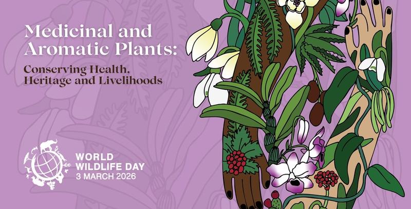 Днес е Световният ден на дивата природа - 3