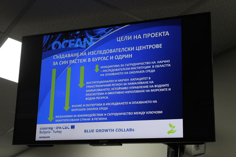 Отбелязваме 31 октомври под наслов „Заедно за по-синьо Черно море“ - 9
