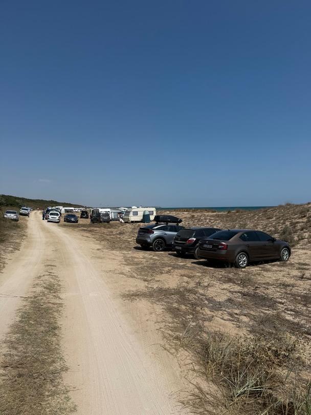 Съвместни проверки по Северното Черноморско крайбрежие се провеждат от днес - 4