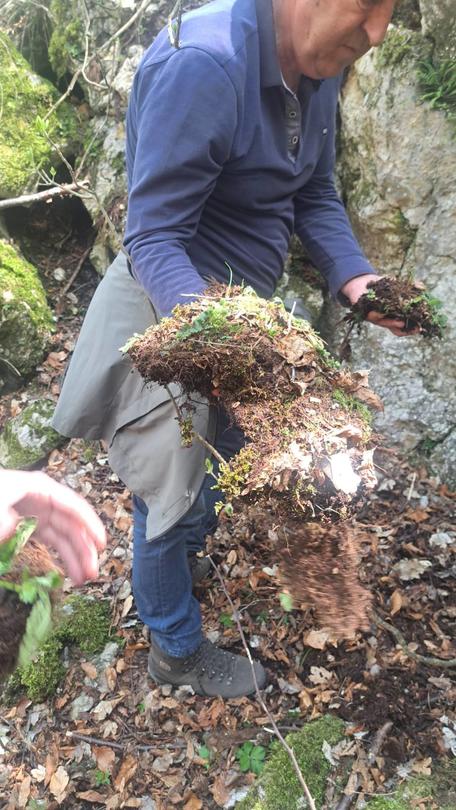 Minister Julian Popov issued an order banning activities that threaten the Rhodope Silivryak species in the territory of the village of Gornoslav, Asenovgrad - 01