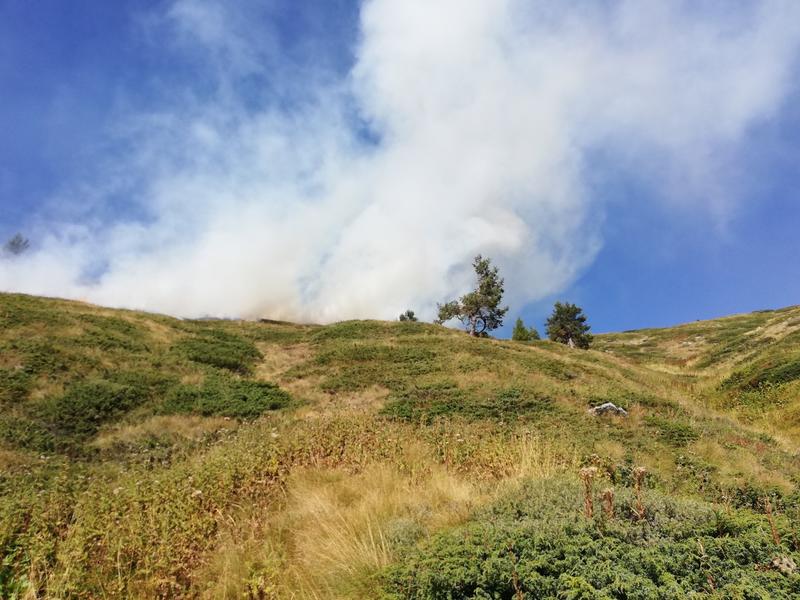 Firefighting continues for fifth day in Rila National Park - 01