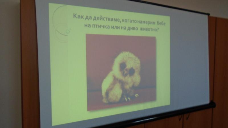 „Забавно лято“ с РИОСВ – Хасково - 01