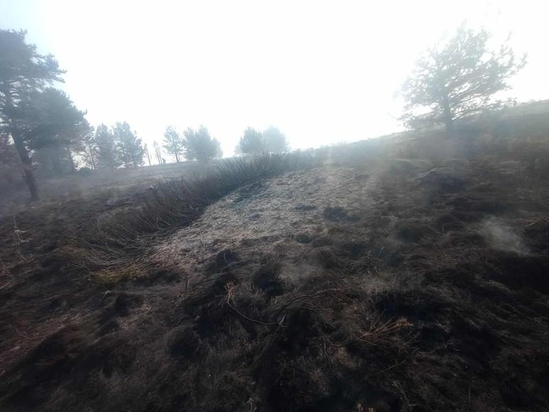 The fire in the Rila National Park is still not under control - 4