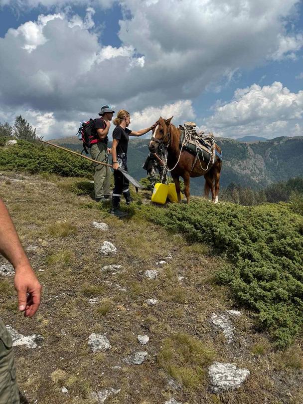 Fire rages in the “Steneto” reserve in the “Central Balkan” National Park - 5