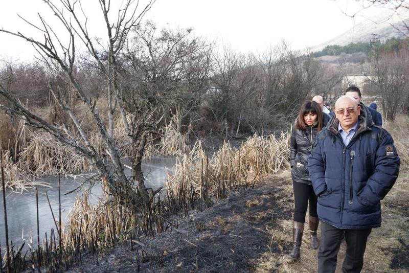 Министър Димитров Драгоманско блато - 5