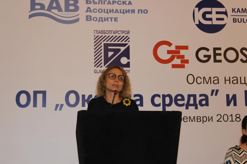 Зам.-министър Николова: Трябва да подготвим кадри за изграждане на екологична инфраструктура - 01
