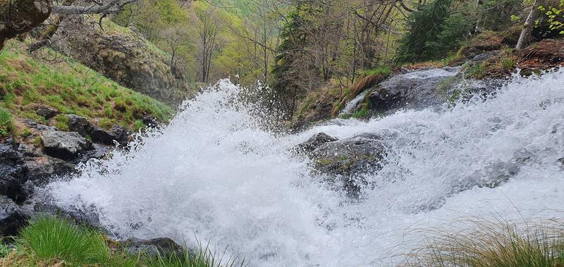 Today we mark 32 years National Park “Central Balkan” - 13