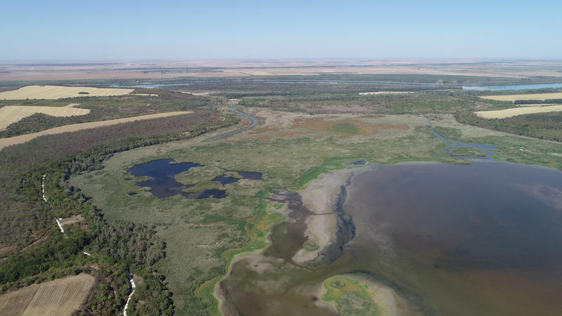 С прехвърлени над 3 млн. куб. м вода от река Дунав езерото Сребърна е спасено от пресъхване - 01