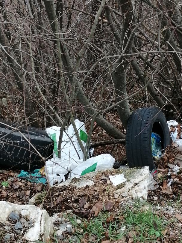 РИОСВ – Смолян с мерки за чиста околна среда без отпадъци - 4