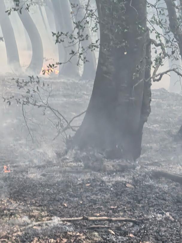The fire in the Central Balkan has been extinguished - 2