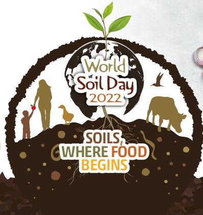 We mark the World Soil Day - 01