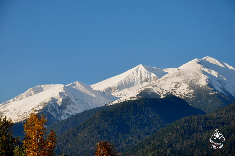 Today we mark the 61st Anniversary since the establishment of National Park Pirin - 25