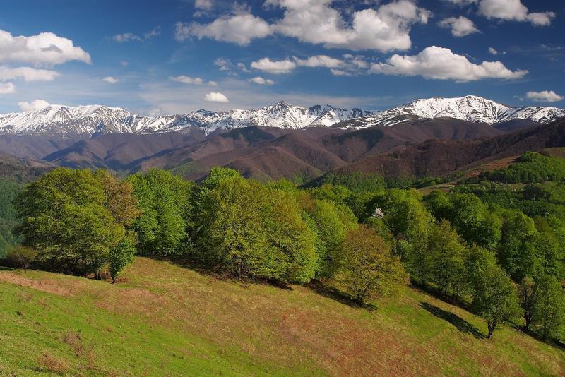 Today we mark the Day of Parks in Bulgaria - 01