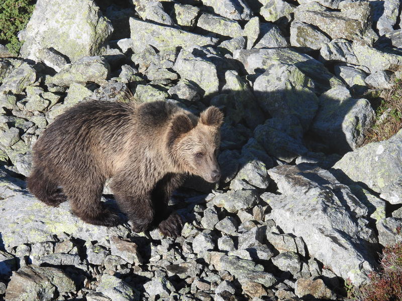 Central Balkan National Park celebrates 34 years since its establishment - 8