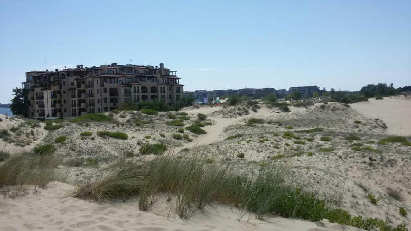 Дюните на плажа на Слънчев бряг - 01