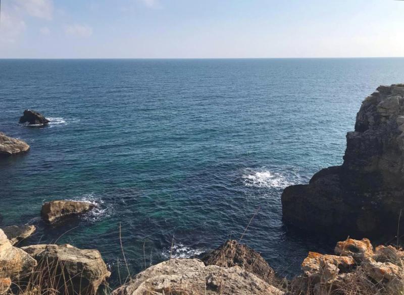 Стойностите на наблюдаваните показатели на морските води се връщат в нормални граници след изтеглянето на кораба VERA SU - 01