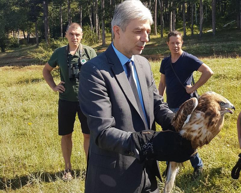 Министър Димов освободи диви птици в природата - 01