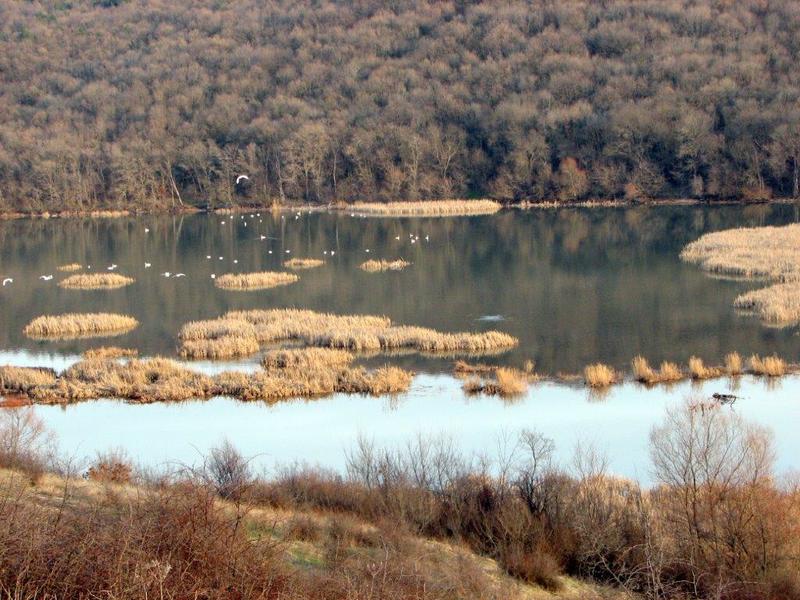 ЗМ „Устието на река Изворска - 3