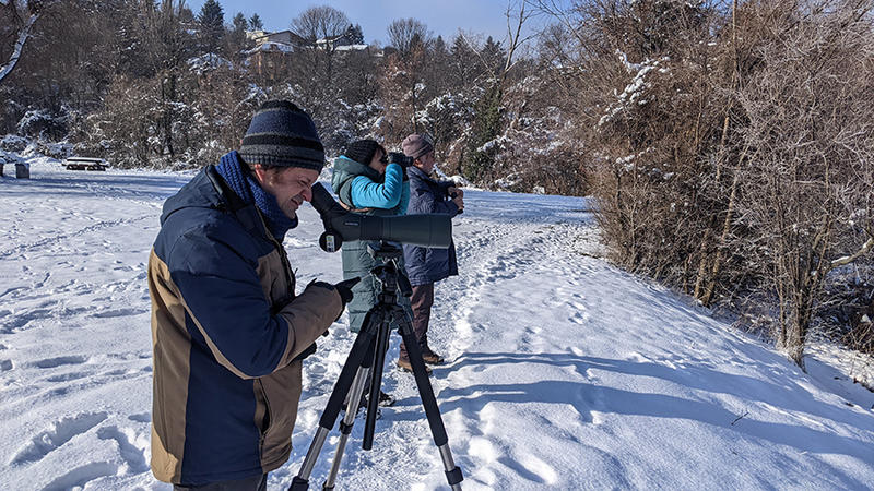 Юбилейното 50-то среднозимно преброяване на зимуващите водолюбиви птици ще се проведе от 15 до 18 януари - 01