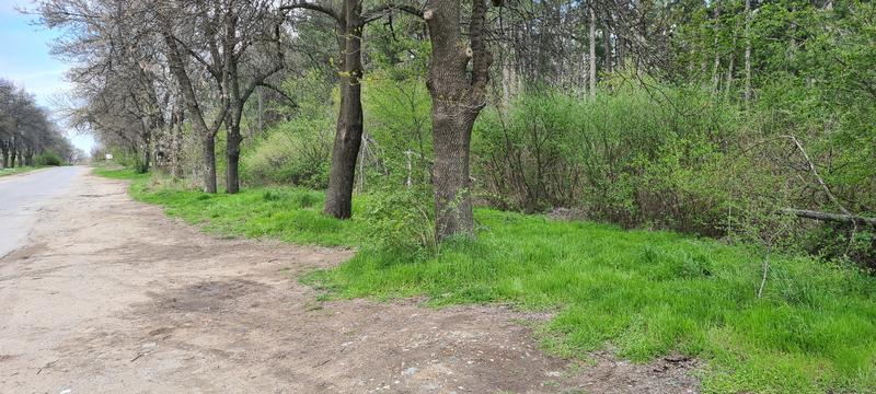 Екипът на РИОСВ - Хасково се включи в кампанията „Да сложим точка на замърсяването“ - 4