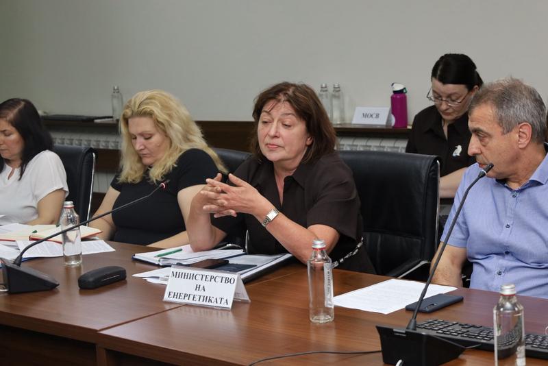Проведе се обществено обсъждане на Доклада за екологична оценка на плана за приоритетните зони за вятърна енергия - 7