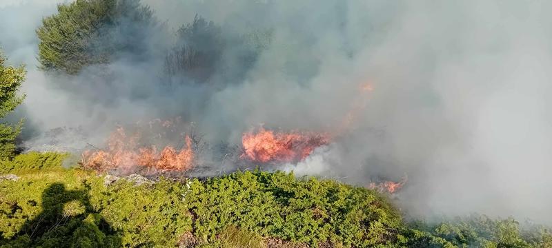 Fire rages in the “Steneto” reserve in the “Central Balkan” National Park - 3