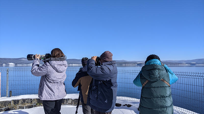 Юбилейното 50-то среднозимно преброяване на зимуващите водолюбиви птици ще се проведе от 15 до 18 януари - 4