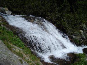 Само България е изпълнила в срок задълженията си за транспониране по ОВОС - 01