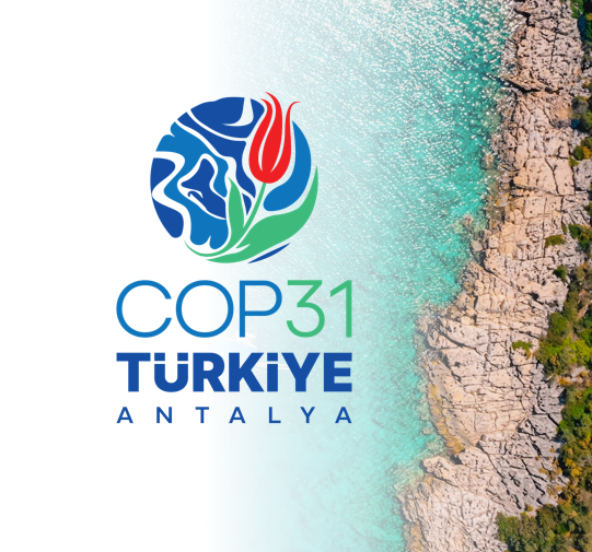 България ще участва в COP31 с официална делегация и национален павилион - 01