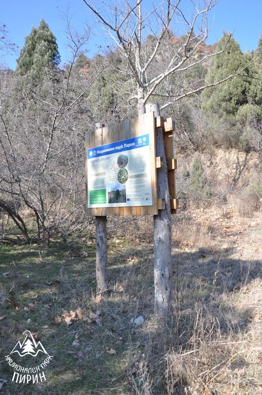 Пролетна разходка в резерват „Тисата” препоръчва ДНП „Пирин“ - 3