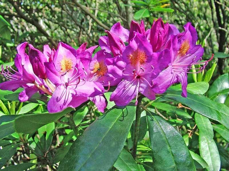 On November 3, we celebrate the International Day of Biosphere Parks - 8