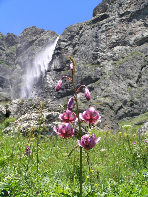 Най-големият Старопланински резерват „Джендема“ стана на 65 години - 4