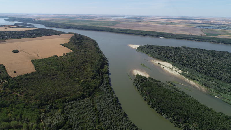 Обявена е защитена местност „Есетрите - Ветрен” на река Дунав - 01