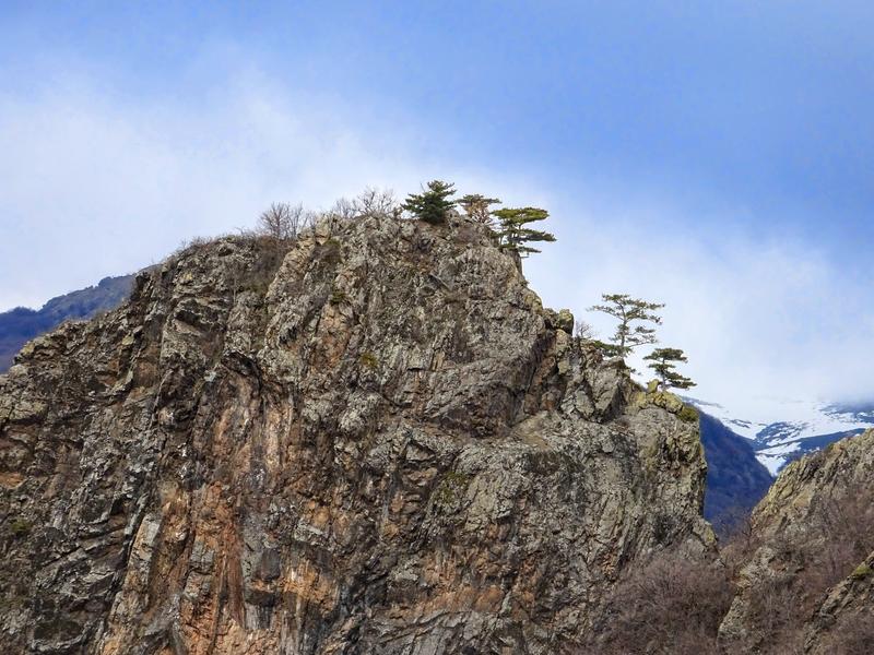 Today we celebrate 72 years since the declaration of the Dzhendema Reserve - 6
