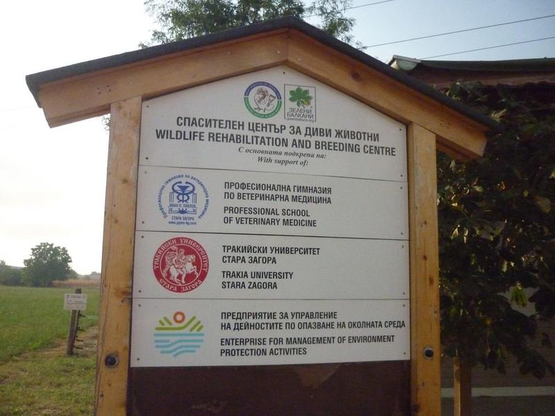 Министър Димов ще участва в инициатива по освобождаване на птици - 01