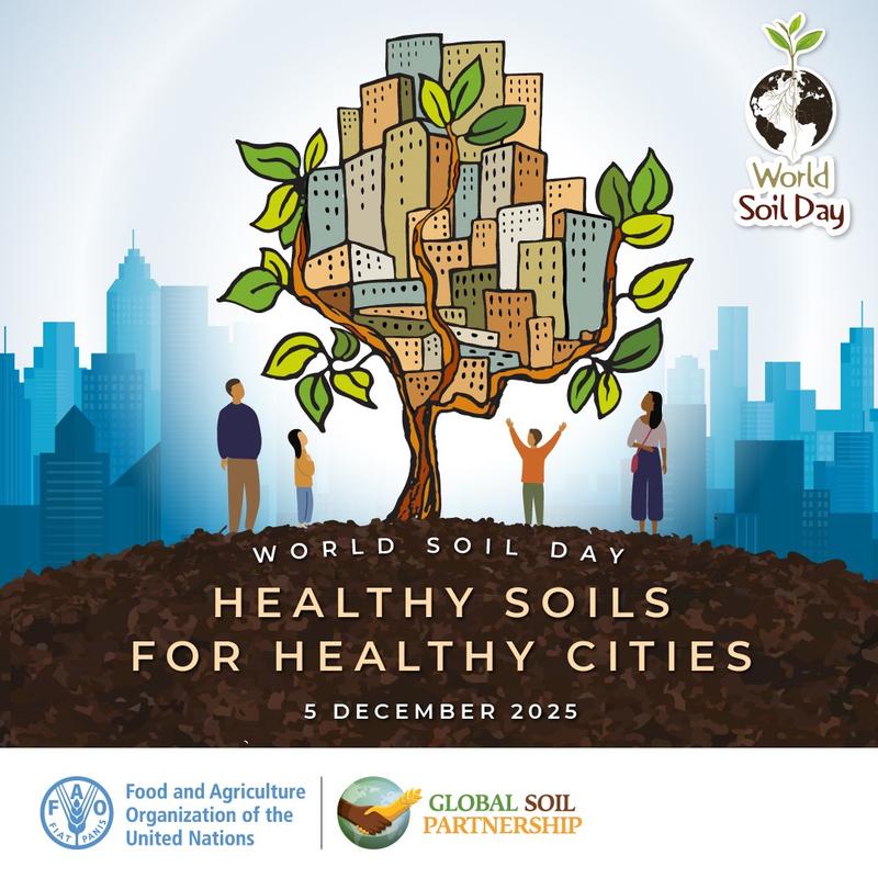We celebrate World Soil Day - 01