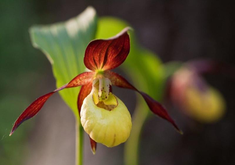 On November 3, we celebrate the International Day of Biosphere Parks - 5